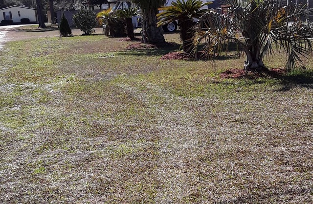 Dog friendly vacation rental near St. Johns River