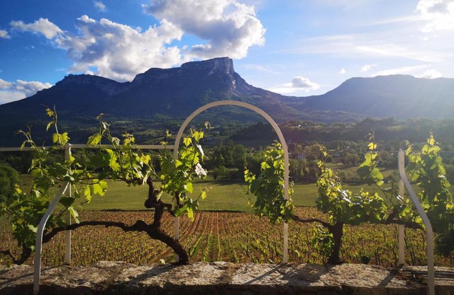 Domaine des Granges Longes