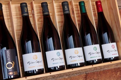 Domaine Gilles Copéret- Artisan-Vigneron- chambres d'hôtes Les Glycines -