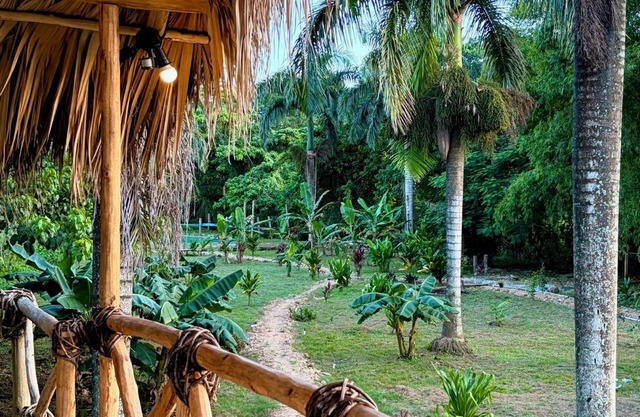 Dominican Jungle Resort