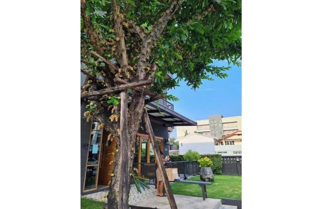 Don Muang Lantern Suites with Maid Service