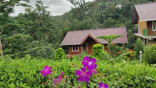 Don's River Valley Jungle Resort