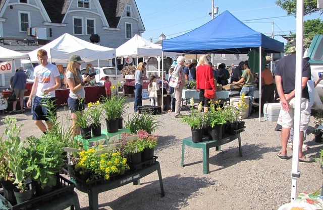 Doorstep to Acadia National Park at Schoodic