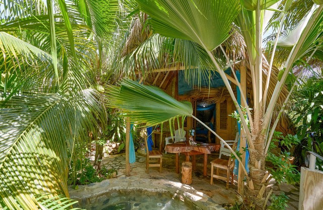 Double/family blue-sky cabin #5, at Chalet Tropical bio-hotel