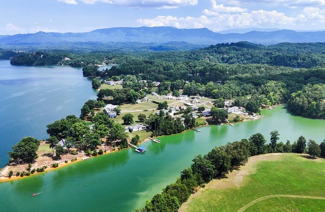 Douglas Lake Lakefront Luxury.