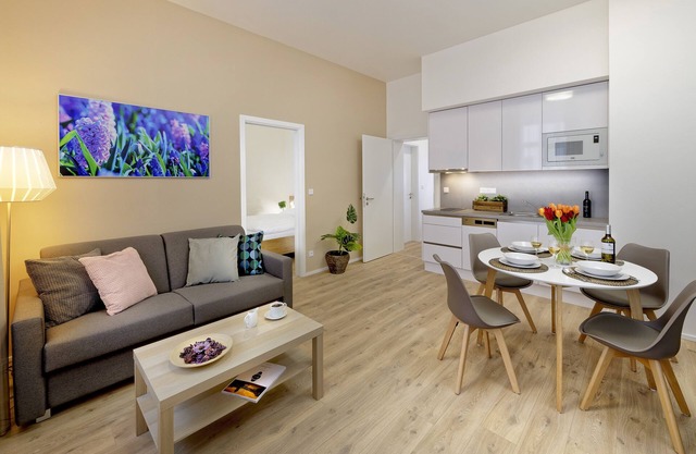 DownTown Suites Jugoslavska
