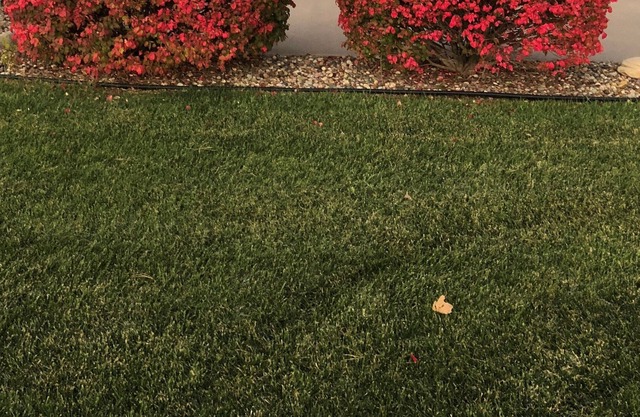 Duck Hunting Lodge overlooking the Loess Bluffs National Wildlife Refuge