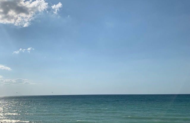 DunesWalk Inn at the Furness Mansion - Indiana Dunes - Sleeps 1-19