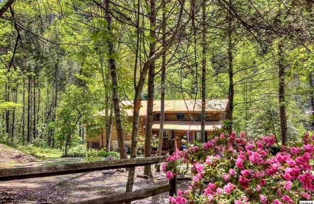 Dunn's Creek Hideaway 3 Bedroom Cabin by RedAwning