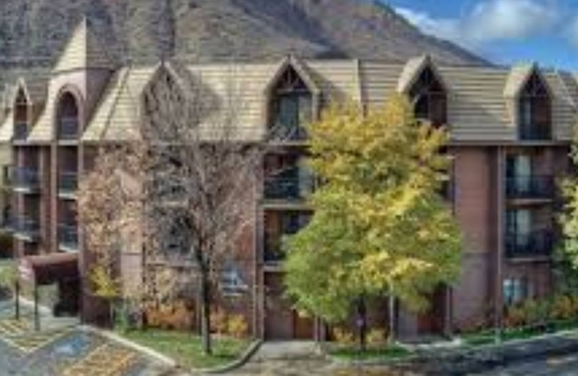 Durango, CO 1Bed/1Bath Suite!