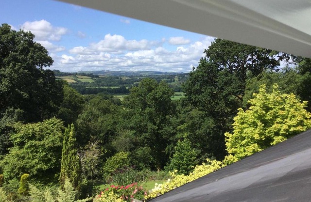 Dwynant - A Room with a View