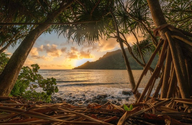 East Oahu Oceanfront Estate