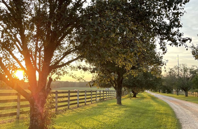 Easy drive to Covington square. Safe gated property.