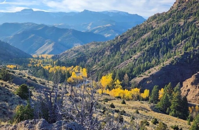 Easy Living ~ Easy Playing, just a 5 minute walk from down town Cody.