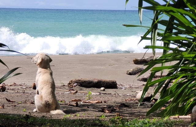 EcoHotel Bahía Terco
