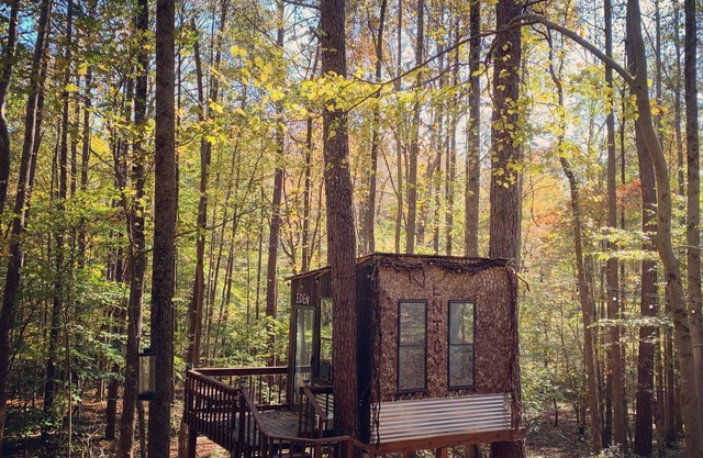 Eden Treehouse at New Tiny-Living Eco-Farm
