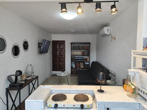 El depa de los cactus