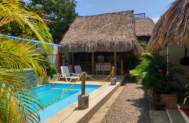 El Leon Feliz Palomino