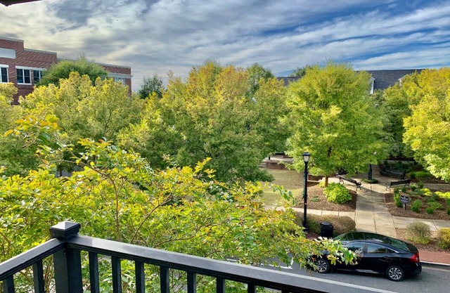 Elegant furnished 2 bedroom apartment in Fort Mill