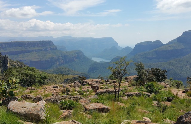 Elephant's Nest Guest House
