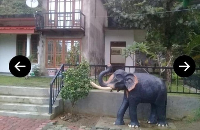 Elephant View Hotel
