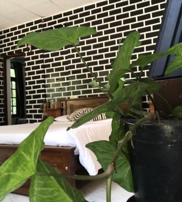 Ella Rawana Resort