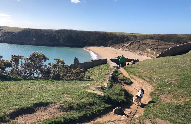 Elm Grove Country House