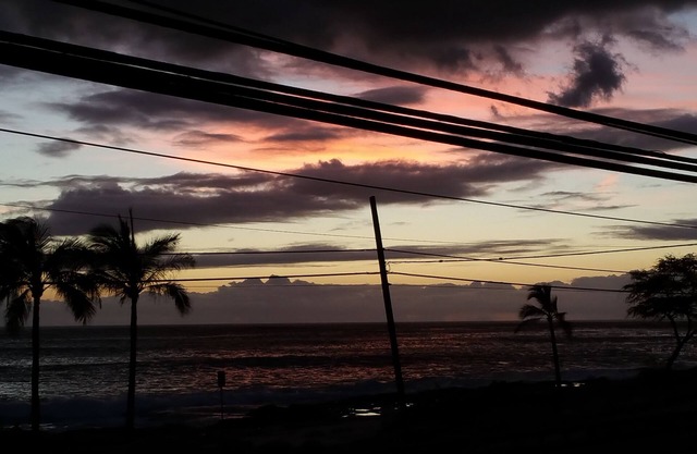 email/text me for personal details . noakua@aol.com . 808 256 4008