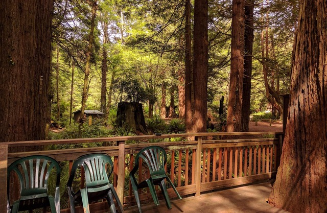 Emerald Forest Cabins