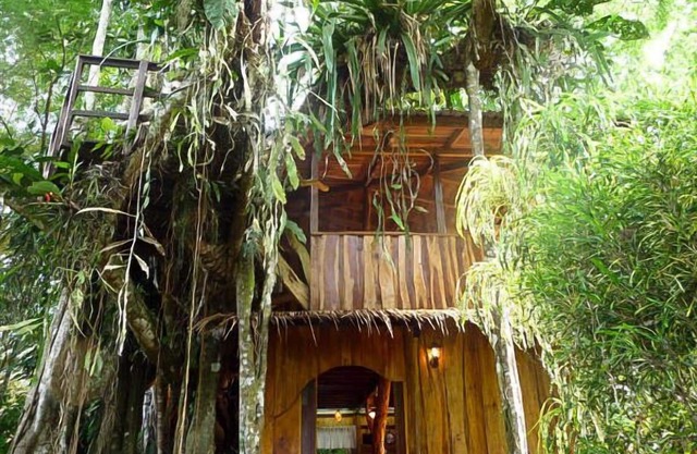 Enchanted Tree House experience with all the comforts!