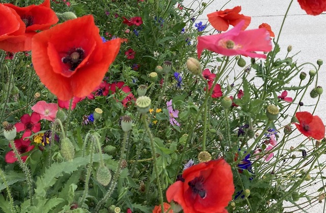 End of the road privacy at this Montana Ranch retreat.
