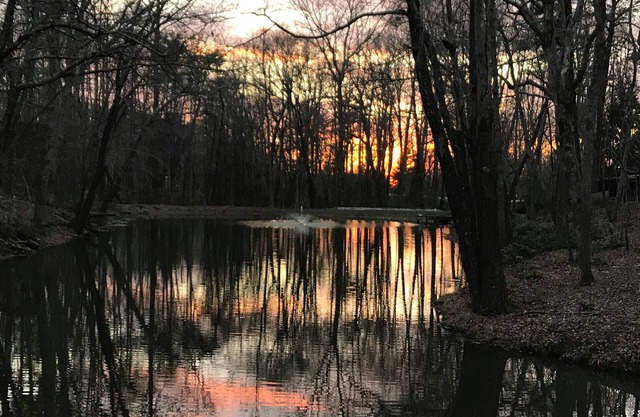 Enjoy the mountain and the city!