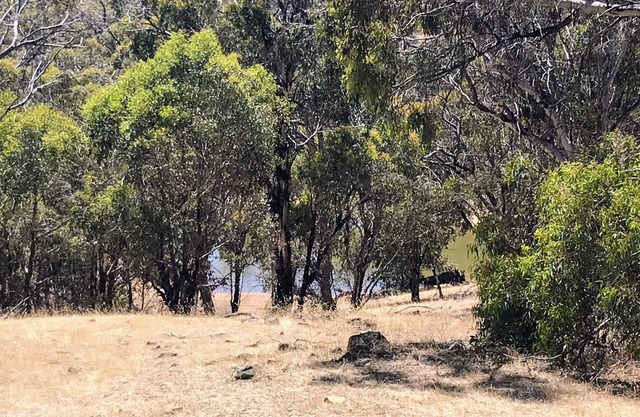 Enjoy the Serenity of Chittering Valley