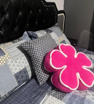 Entire 5 bedroom spacious mansion