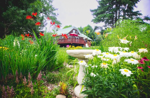 Entire Home located in historical district