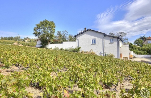 Envol et Vigne - Saint Etienne LA Varenne