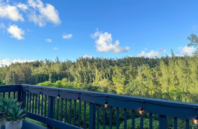 Epic Forest View, A/C, Fruit Trees, Beach 5m drive