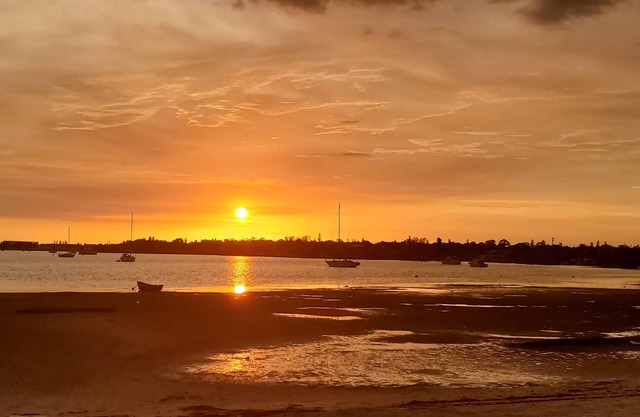 ESCAPE TO PARADISE St Petersburg Condo 💕 ideal for vacation or work from home