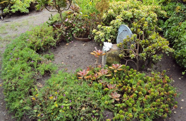 ESCAPE TO SERENITY & SAVE