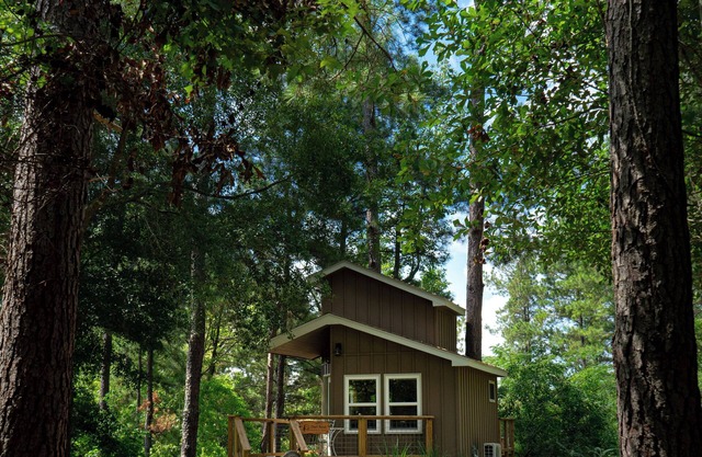 Escape to the Canopy: Enchanting Treehouse Retreat in the Heart of Nature