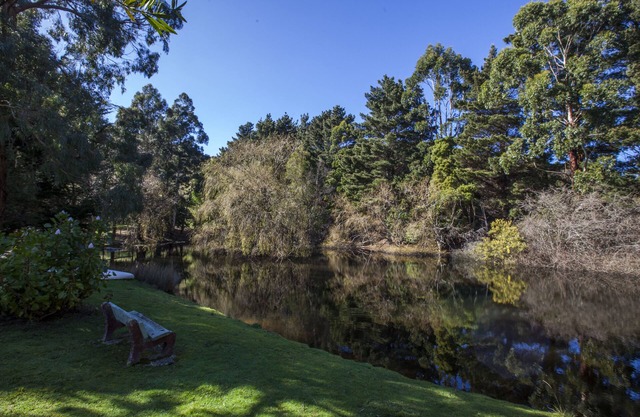 Escape to Valley View Nature Retreat – A Hidden Sanctuary in Apollo Bay