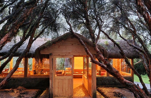 Espeletia Lodge