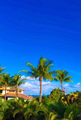 Espelho Bahia Blue House