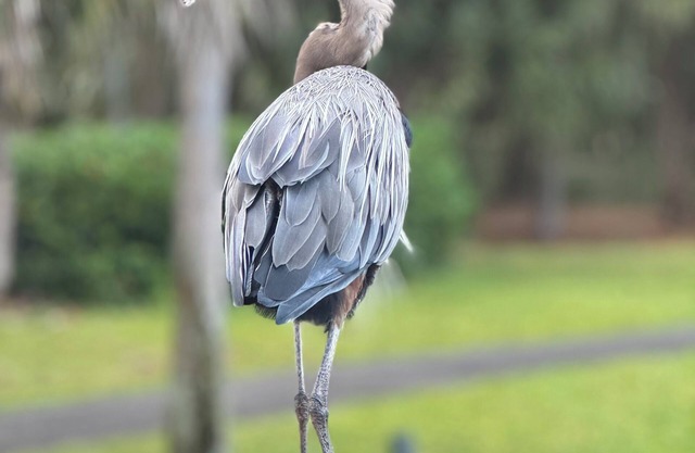 Evian. sleeps 6 2BR 2.5 bath, free pickleball, tennis & pool. Enjoy fall rates!