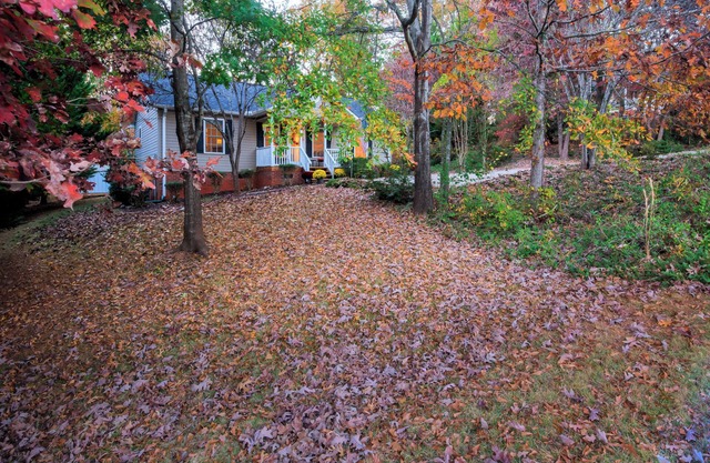 EXCEPTIONAL, SUPER CLEAN! IN THE FOOTHILLS OF THE BLUE RIDGE MTN.! NO ANIMALS!