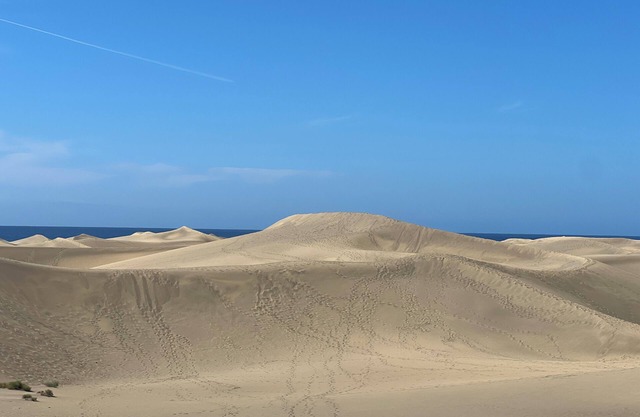 Excl. Bungalow at SunClub Maspalomas-renovated, sustainable & full of privacy.