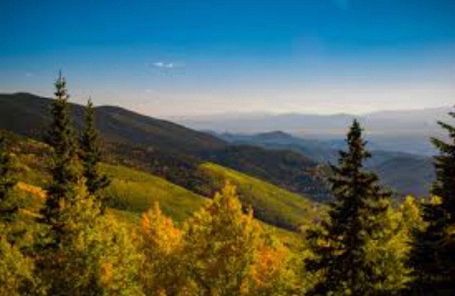 Expansive and luxurious! On 2.5 acres yet close to town! Mtn views!
