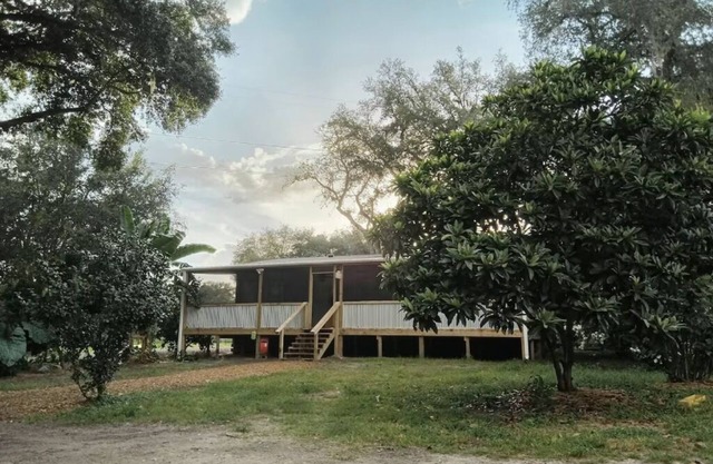 Experience country life at a farm animal sanctuary, perfect for animal lovers!