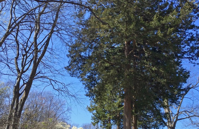 Experience this cozy & quiet bungalow w/antique typewriters & local made quilts