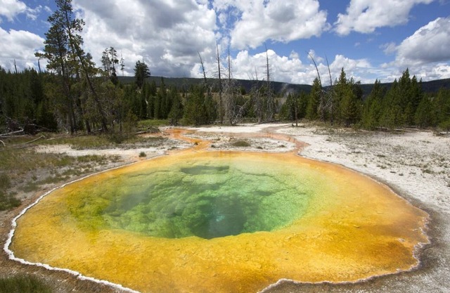 Explore History! 3 Great Units, Outdoor Pool, FREE Parking and Airport Shuttle!